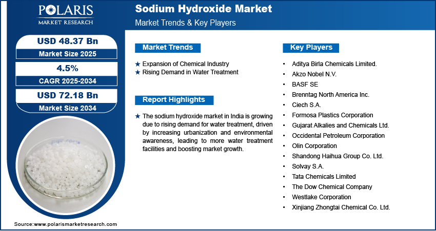 Sodium Hydroxide Market Share, Size